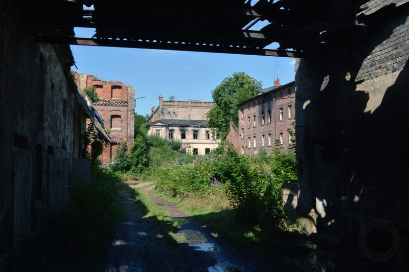 Hildebrandsche Mühlenwerke AG (Böllberger Mühle) in Halle (Saale)