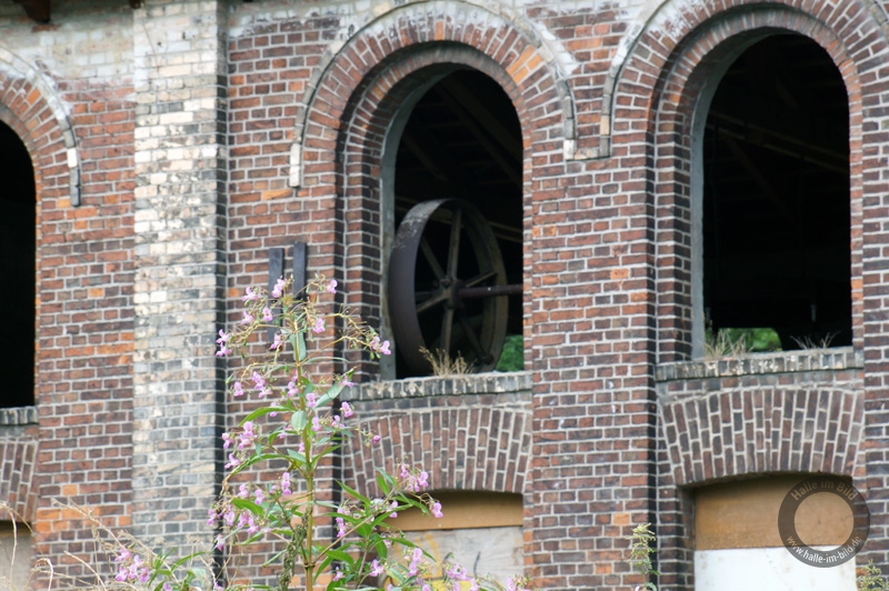 Hildebrandsche Mühlenwerke AG (Böllberger Mühle) in Halle (Saale)