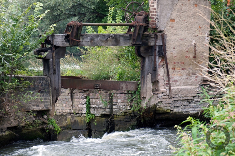 Hildebrandsche Mühlenwerke AG (Böllberger Mühle) in Halle (Saale)