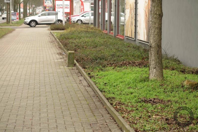 Kilometerstein in der Trothaer Straße in Halle (Saale)